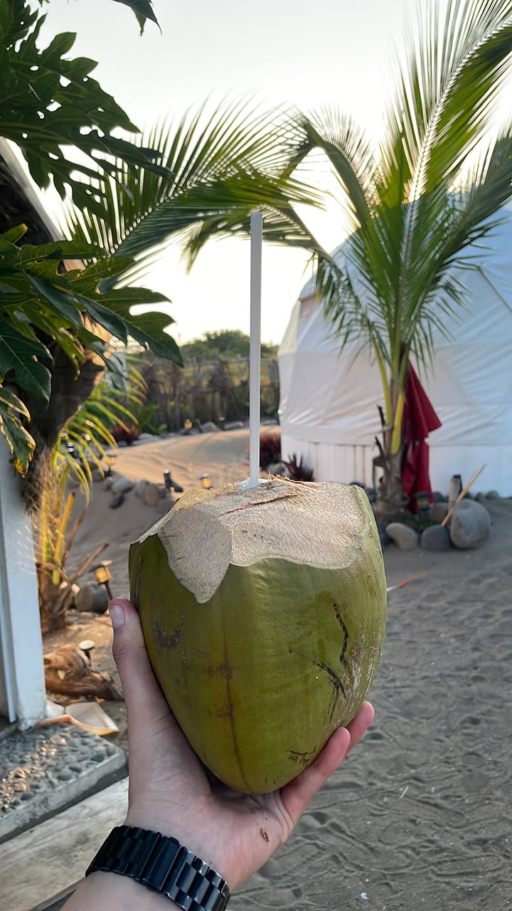 Vegetación tropical